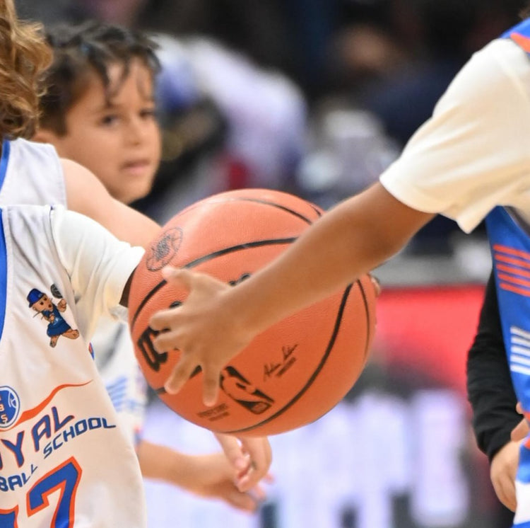 Royal Basketball School Basketball Camps Los Angeles